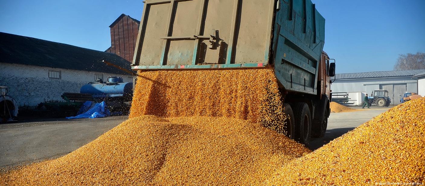 Brazil Forecasts Record 2023 Harvest Of Over 302 Million Tonnes Of Cereals