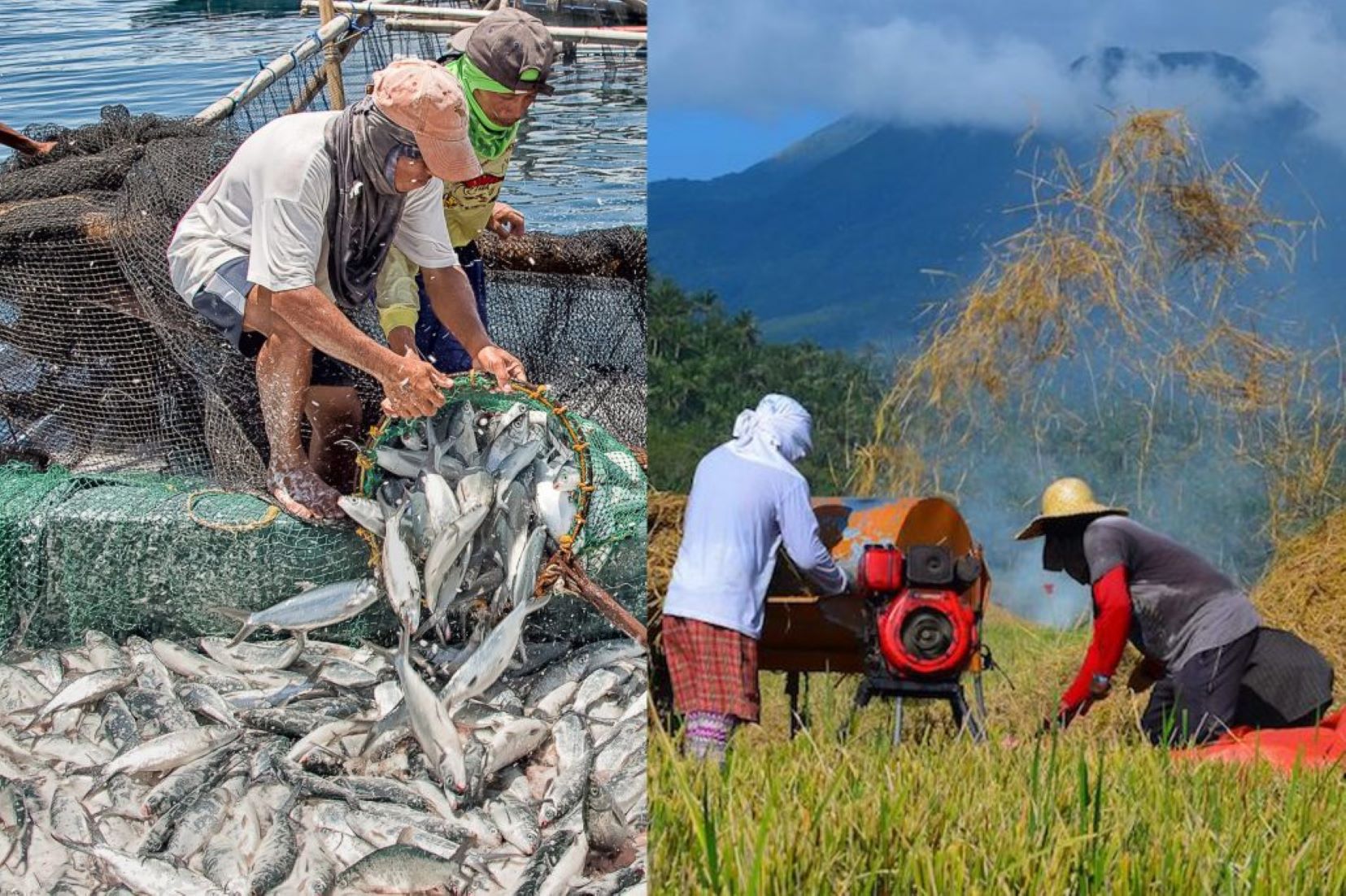 World Bank Approved Agri Project To Help Farmers, Fisherfolk In Philippines