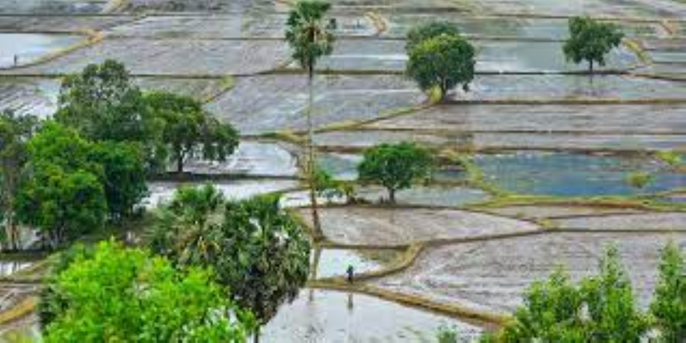 Vietnam’s Mekong Delta Ready To Fight Against Saline Intrusion