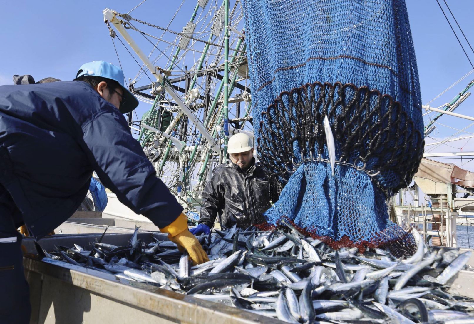 Japan’s Fish Catch Hit Record Low In 2022