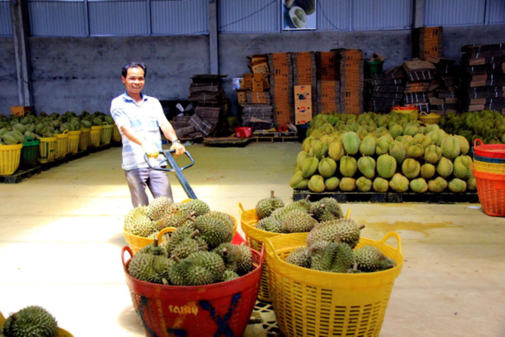 Vietnam’s Fruit, Vegetable Exports Rise 29 Percent On Demand Boost From China