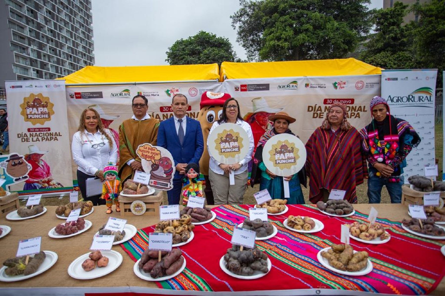 National Potato Day: Agrarian Development Ministry want Peruvian native potatoes to conquer new markets