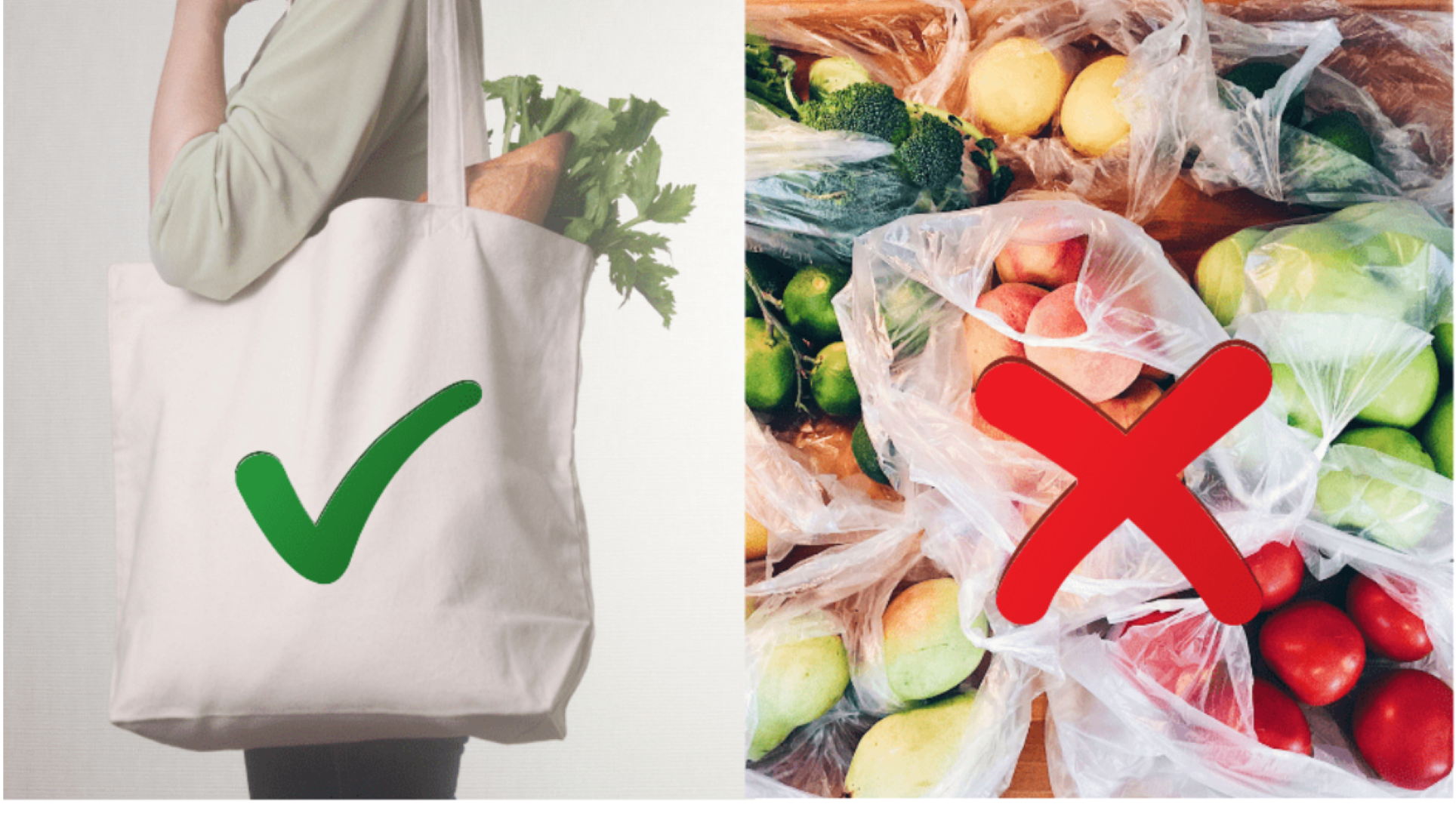 New Zealand Bans Plastic Bags From Tomorrow