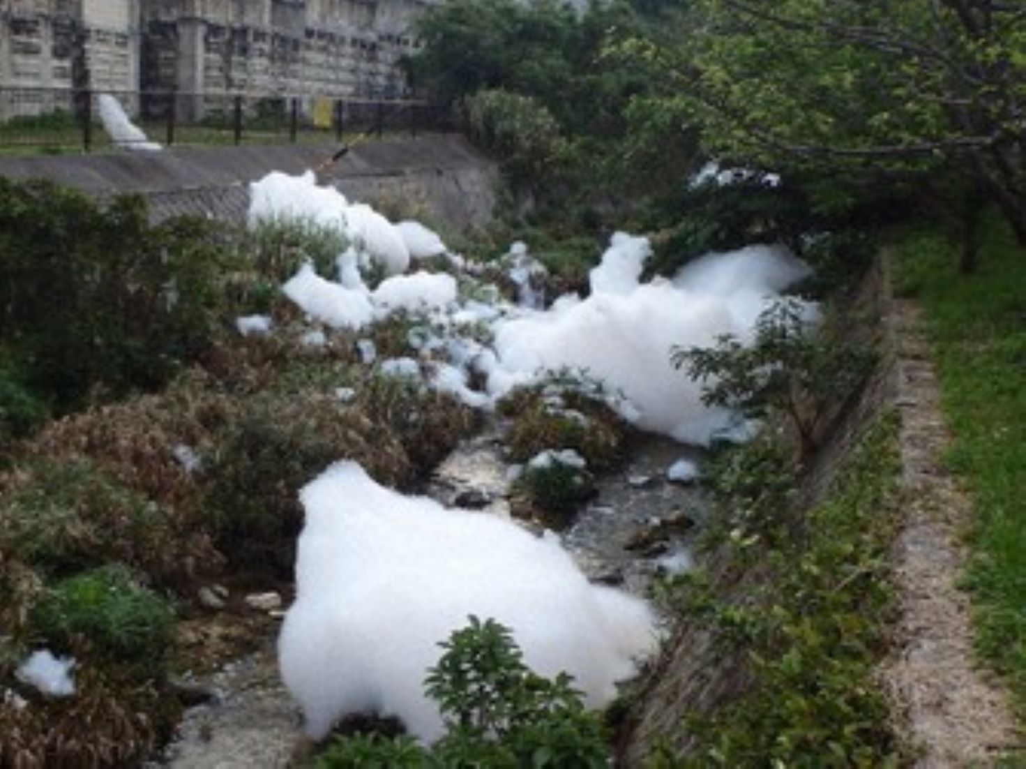 Toxic Chemicals In Tokyo Residents’ Blood More Than Twice National Average