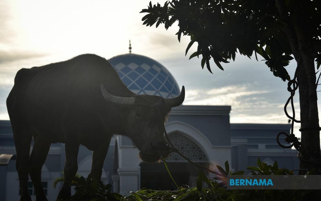 Muslims in Malaysia to celebrate Eid al-Adha on June 29