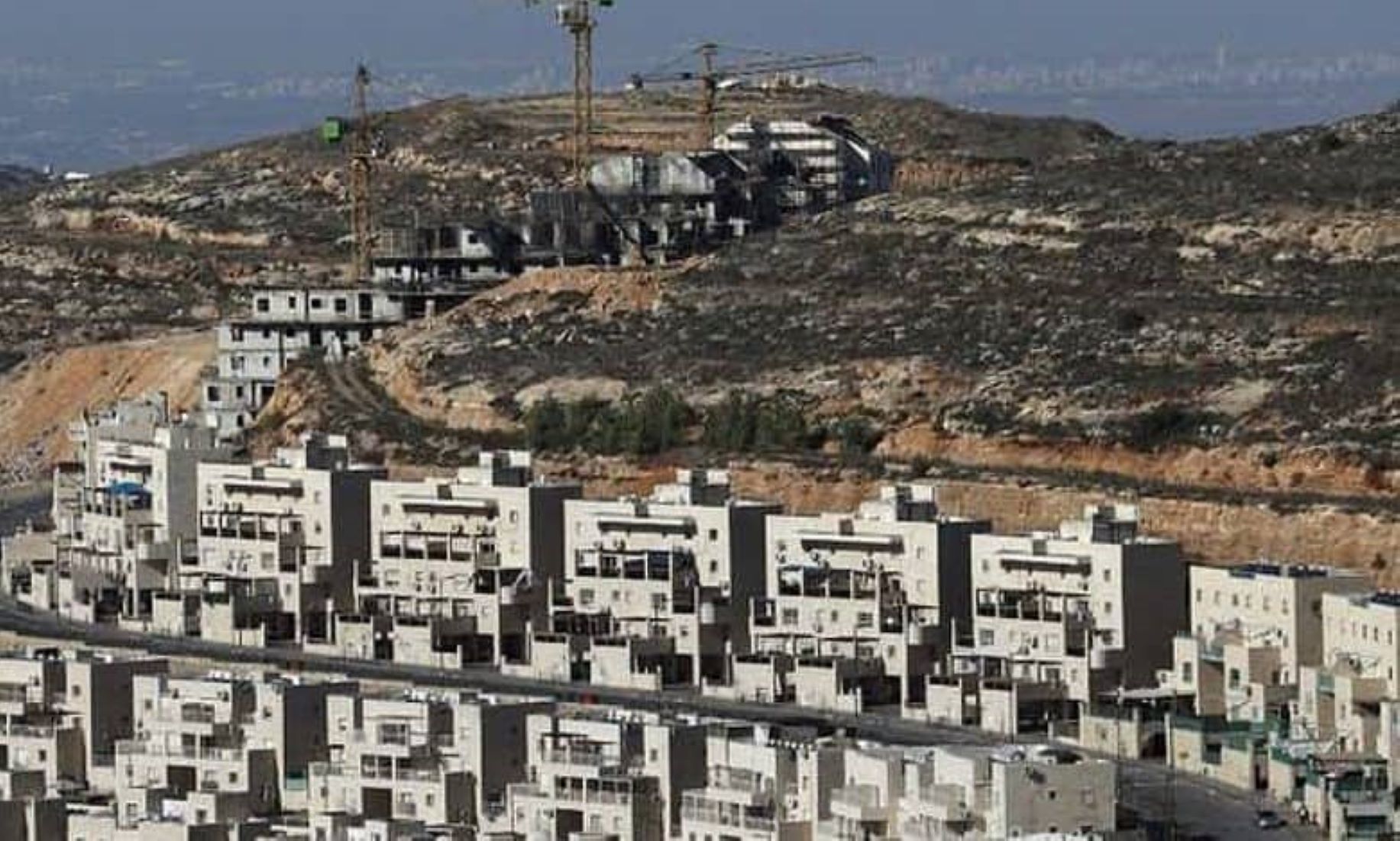 Palestine Strongly Condemns Israel’s Decision To Ease Process For Expanding West Bank Settlements
