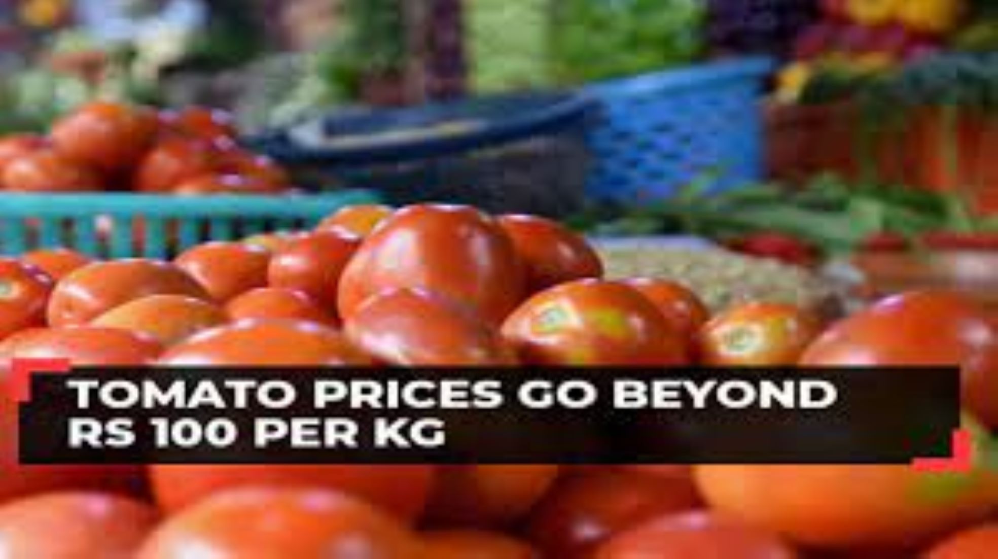 Tomato Prices Skyrocket In India Due To Incessant Rains