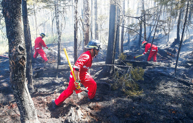 Firefighters in east Canada battle ‘unprecedented’ blazes