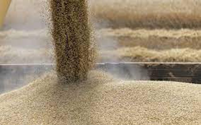 Russia, UN hold consultations on grain deal memorandum in Geneva Friday: UNCTAD