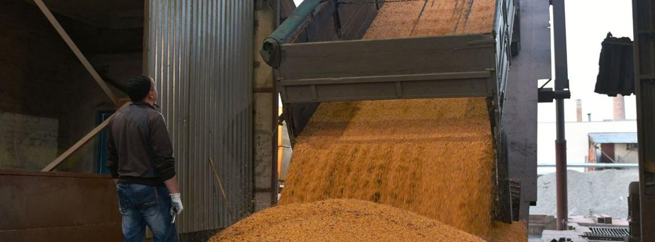 Discussions on grain deal continue: UN