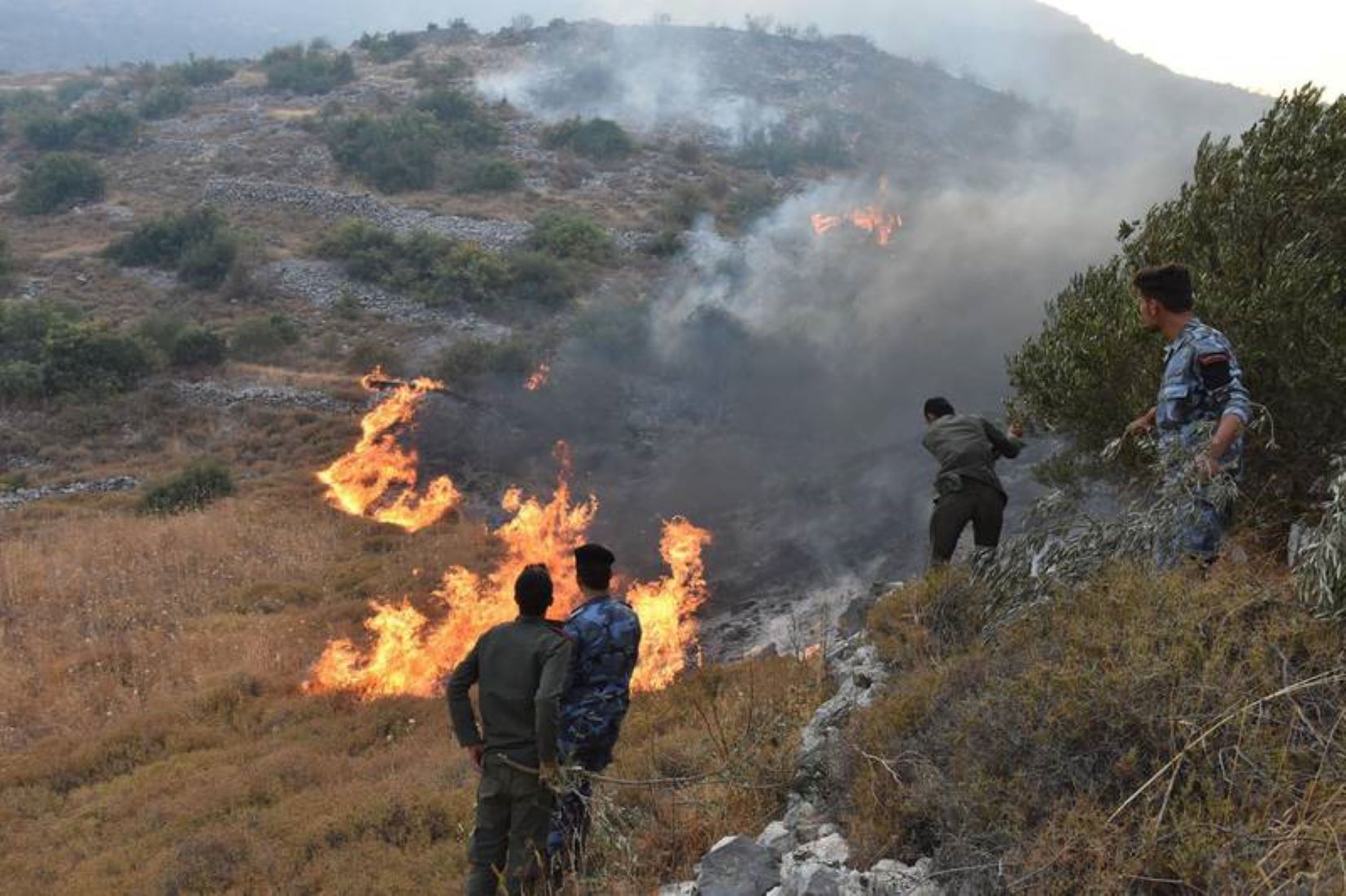 Firefighters Battle Raging Wildfires In Syria’s Latakia Amid Harsh Heatwave