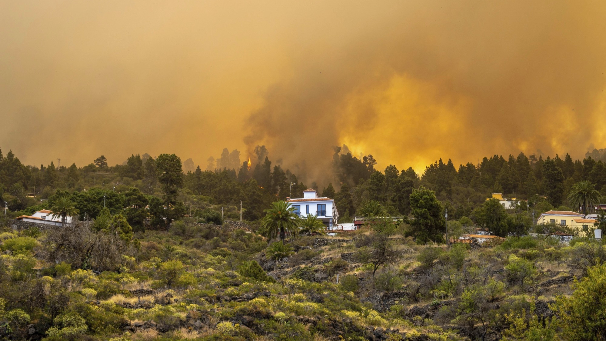 Spain: Wildfire forces thousands evacuated on Canary Islands