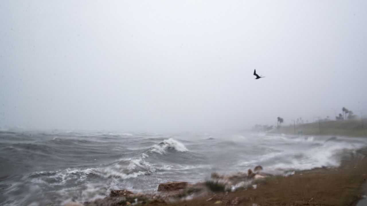 US: Tropical Depression Harold triggers flash floods, power outages and tornado warnings as it plows through Texas