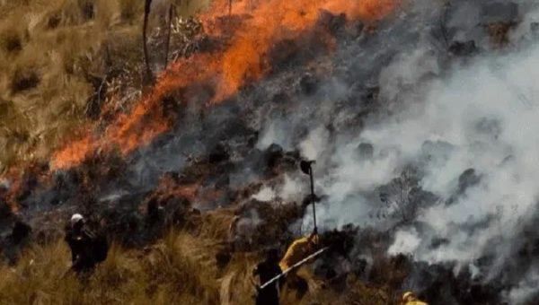 Death toll rises to five in Peruvian forest fire