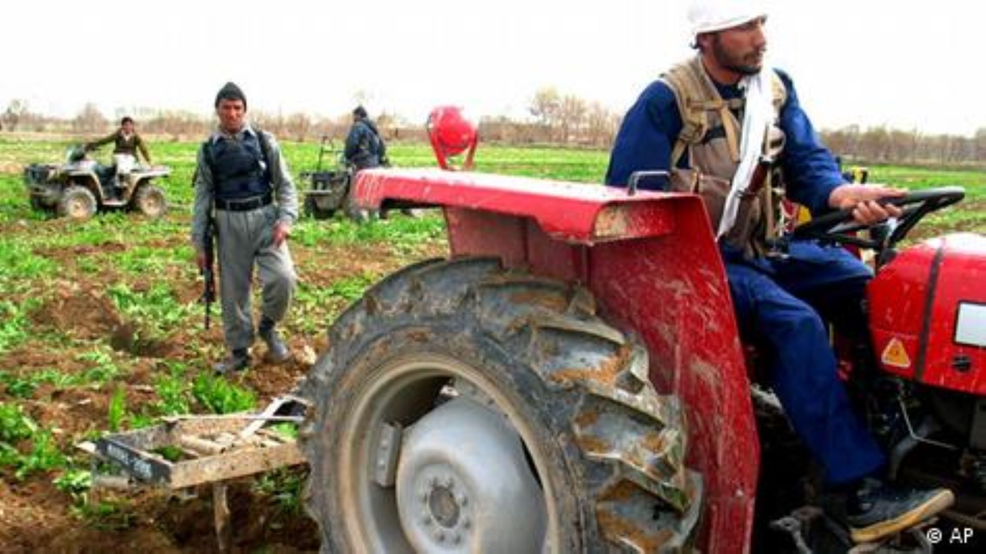 Police Destroy Hashish Farms In Eastern Afghanistan