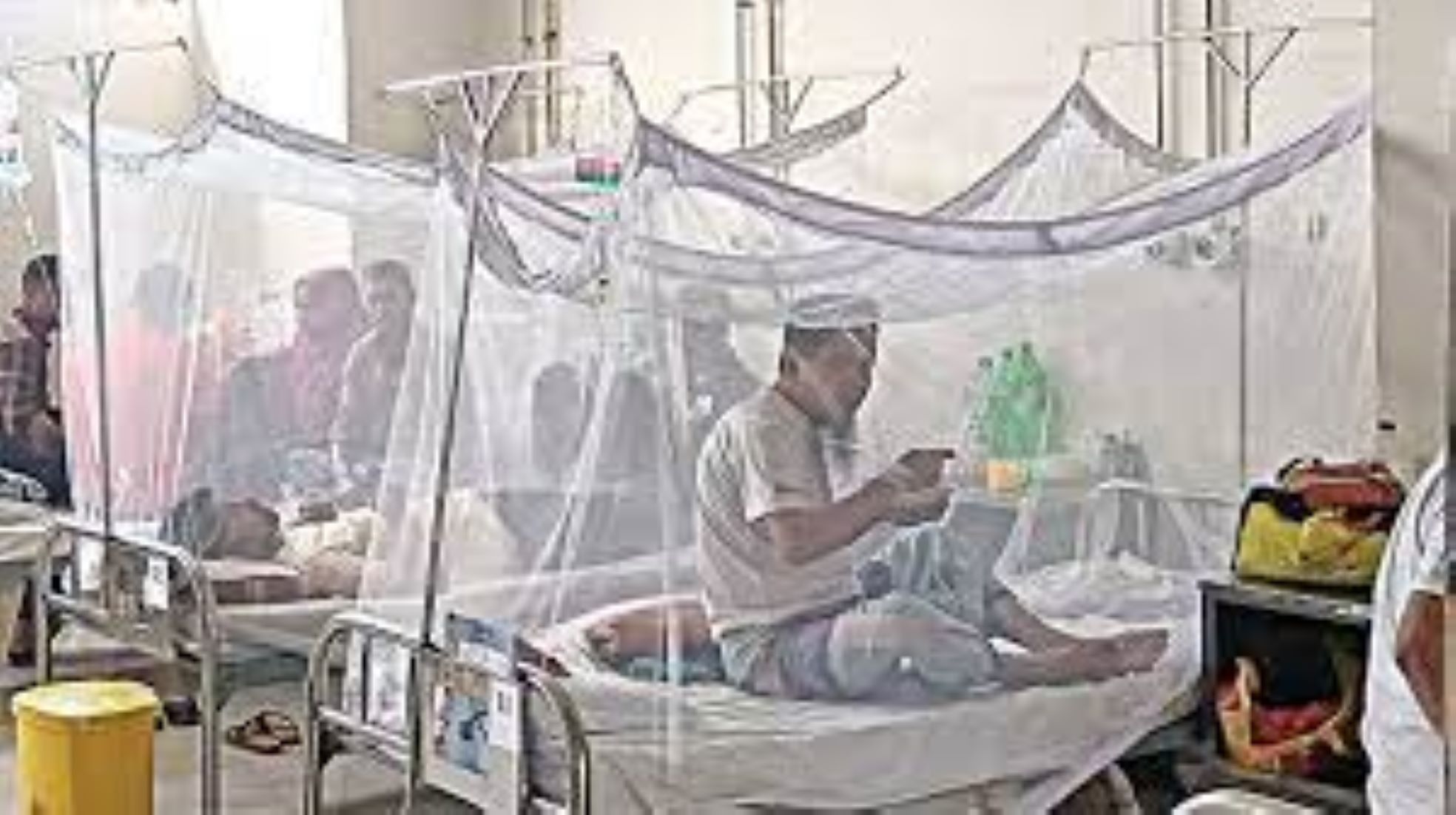 Bangladesh’s Dengue Death Toll Exceeds 900