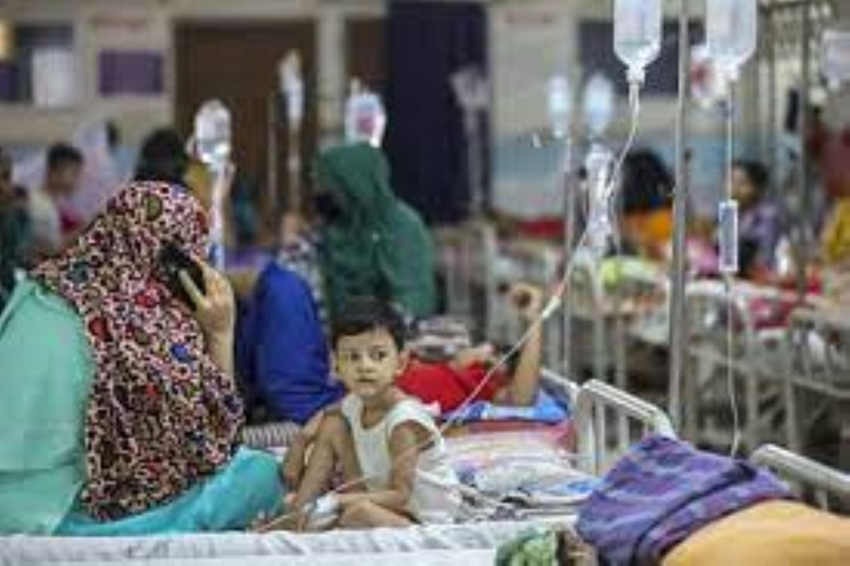 Bangladesh Recorded 3,084 New Dengue Cases, 17 More Deaths