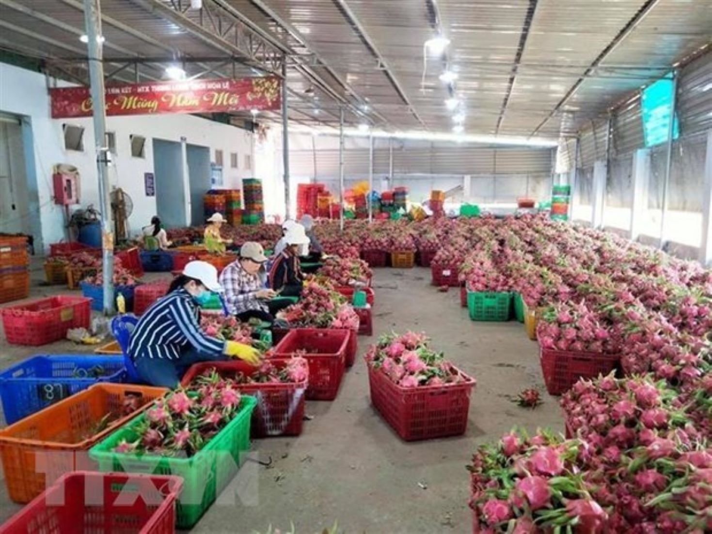Laos To Minimise Agricultural Imports