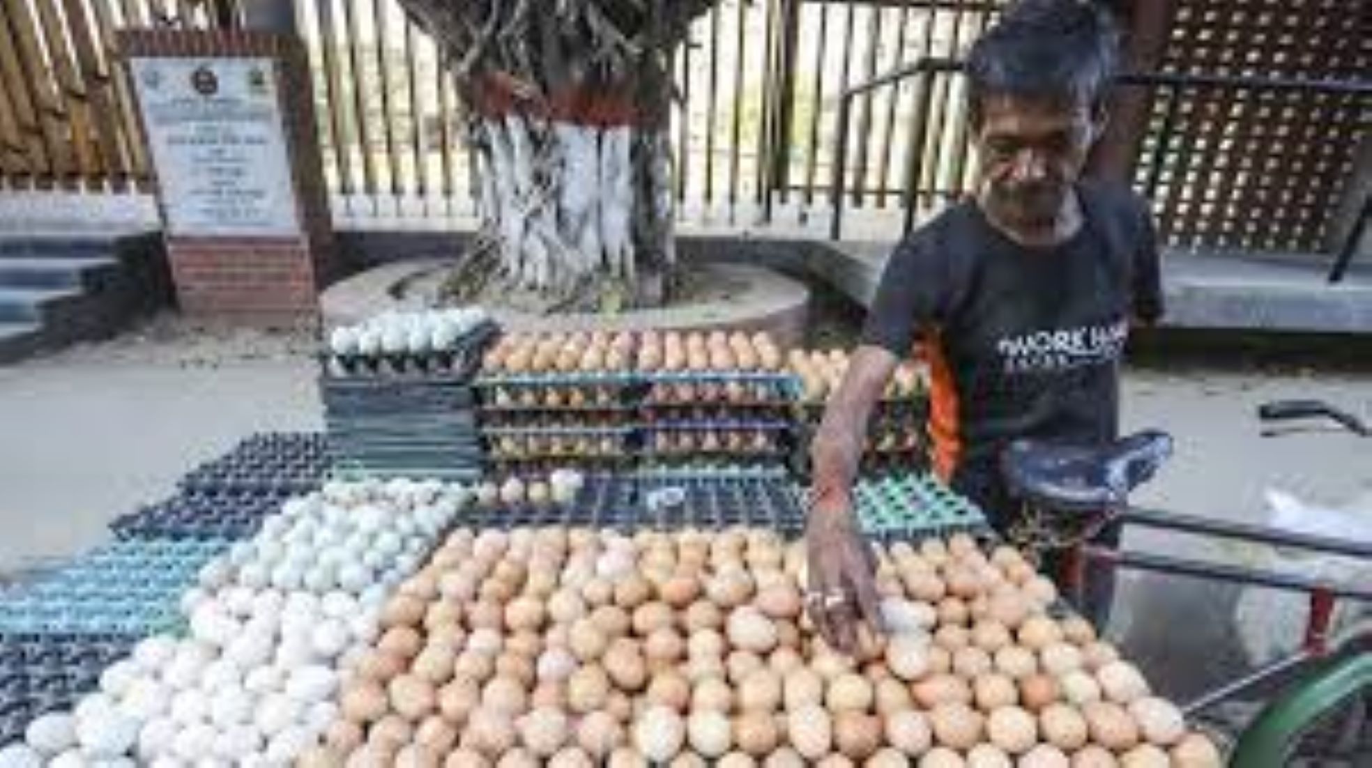 Bangladesh To Import 150 Million Eggs To Stabilise Market