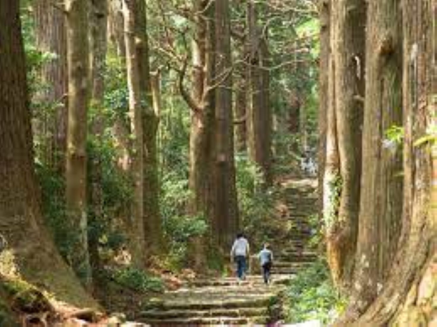 Four Bodies Found Near Mountain Trail In Southern Japan