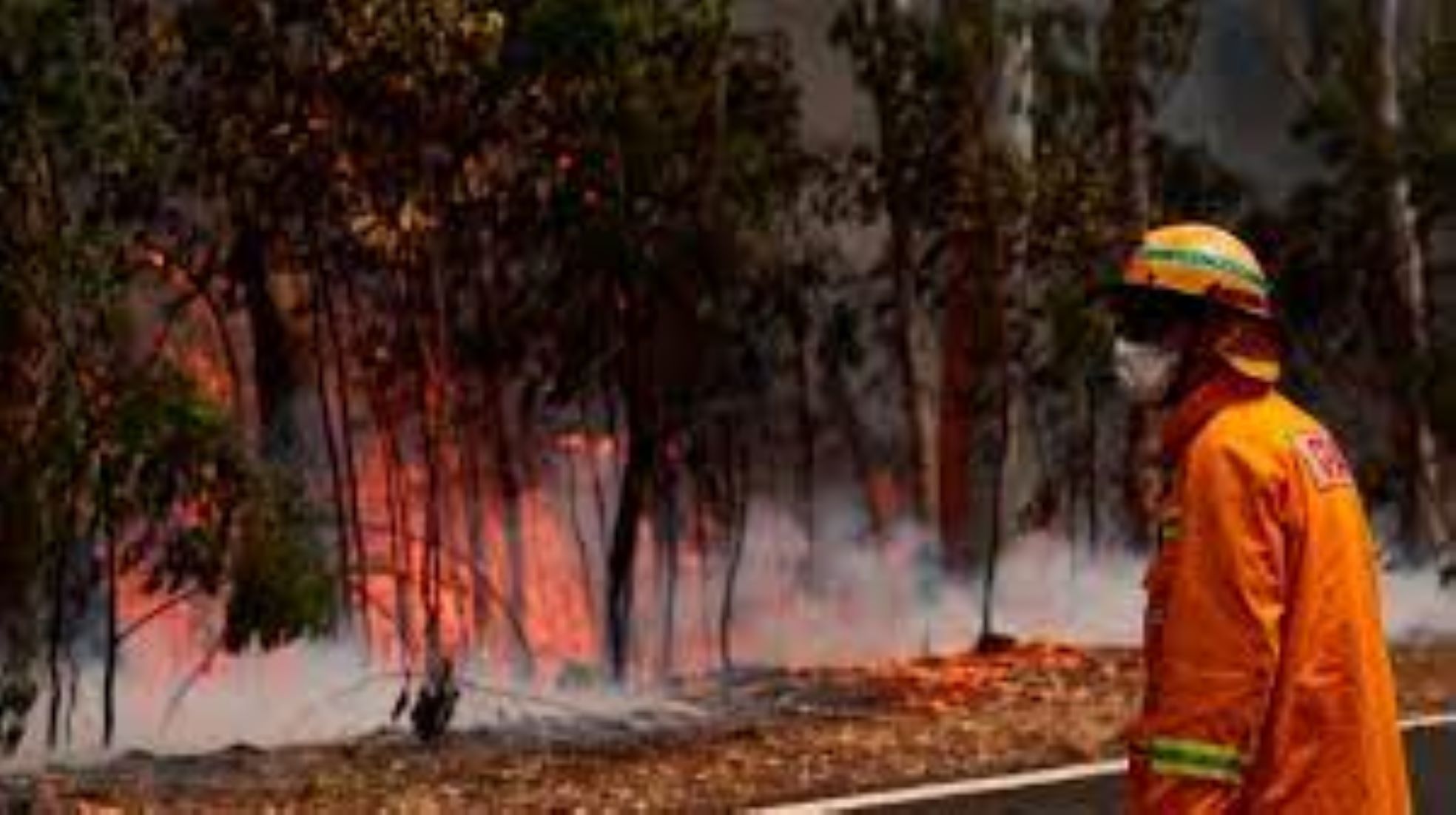 Australian Volunteer Firefighter Dies In Battling Bushfire