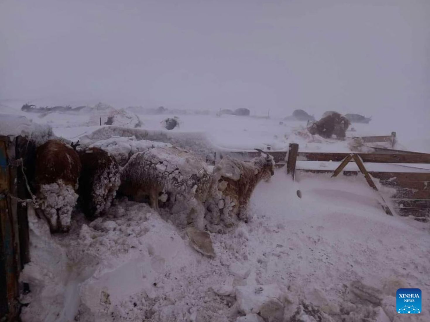 At Least 46 People Missing In Mongolia Due To Blizzards