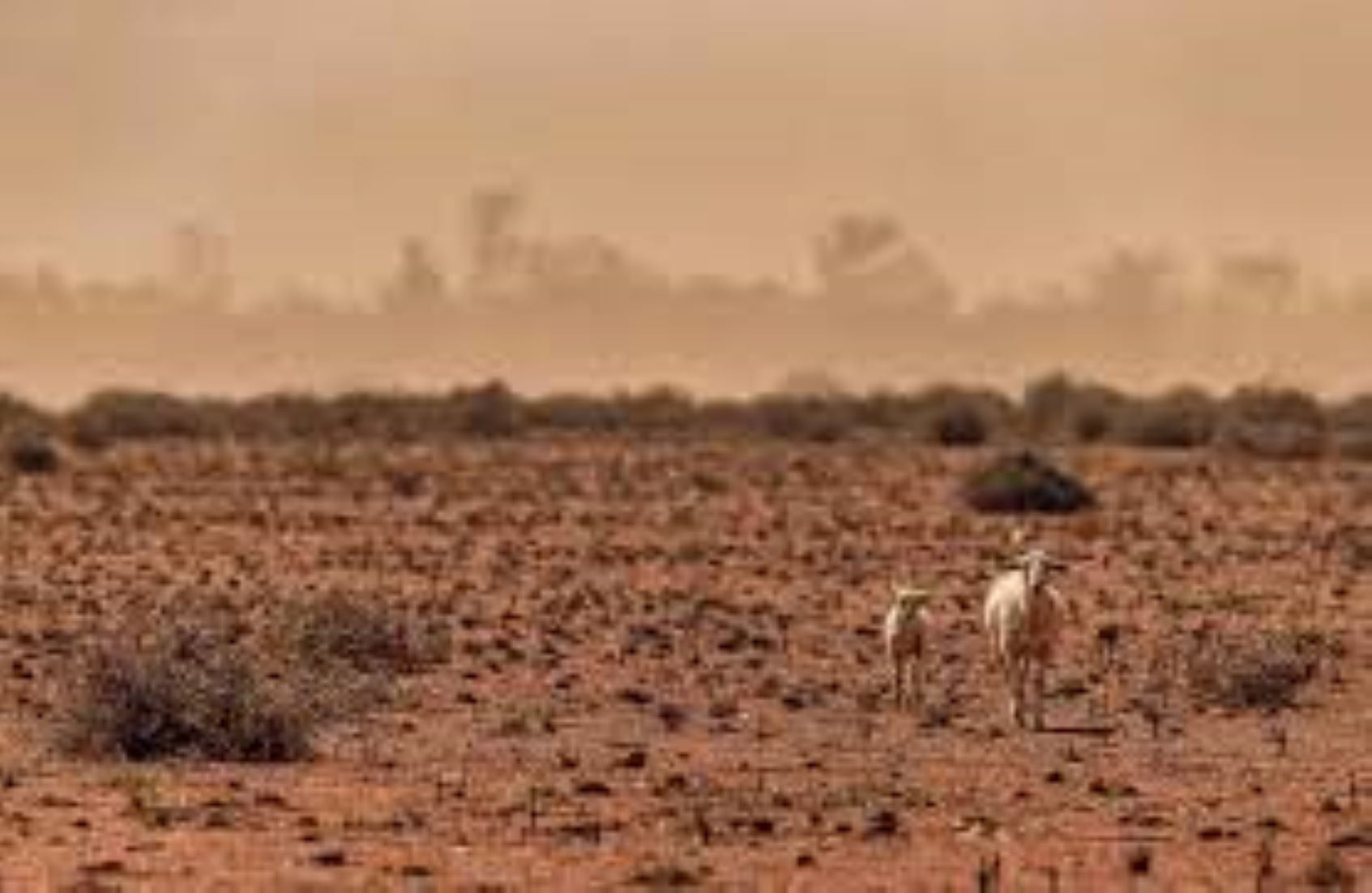 Australia Records Driest Oct Since 2002