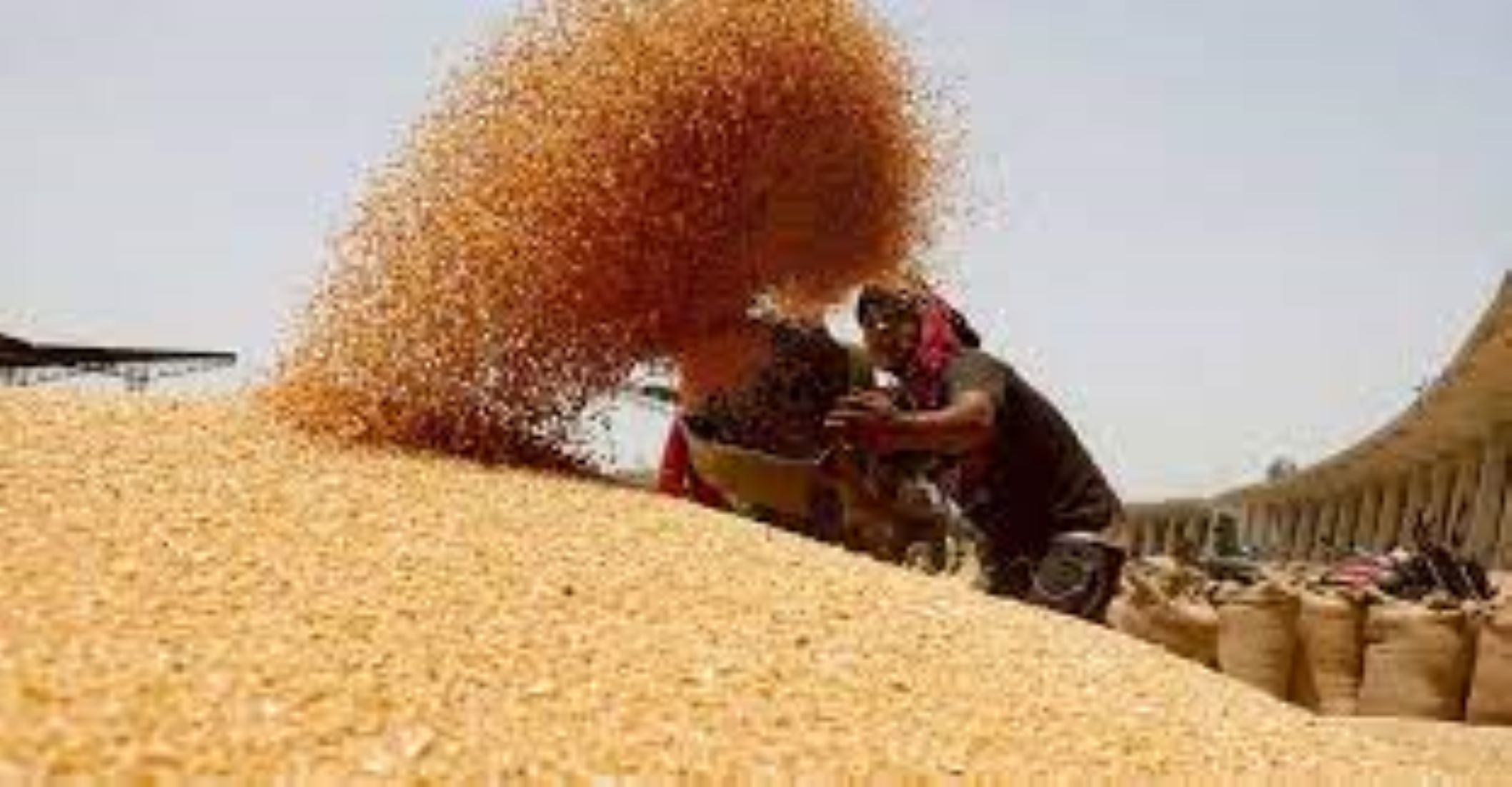 Indian Gov’t Decides To Extend Food Security Scheme For Five Years