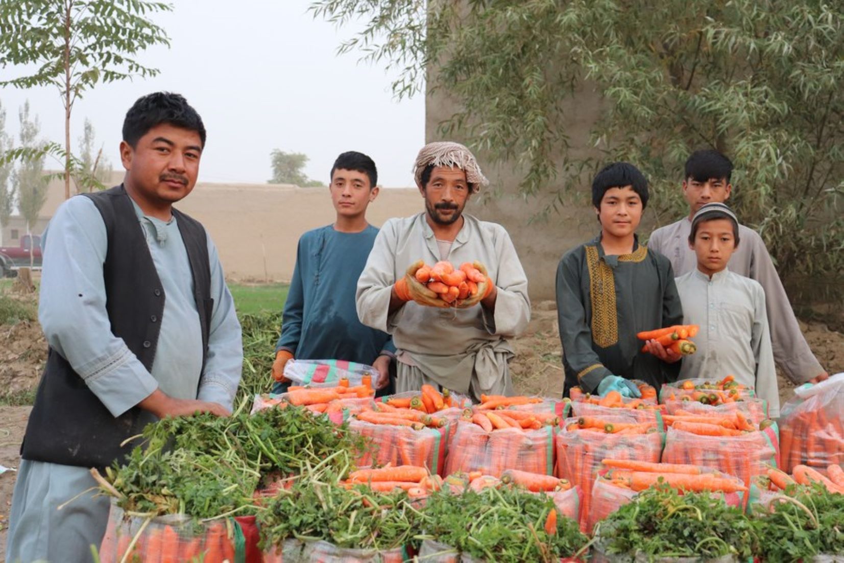 Afghanistan Expects To Achieve Self-Sufficiency Within Three Years: Minister