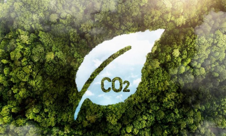Tanzania’s parks authority, CT sign mega carbon project deal
