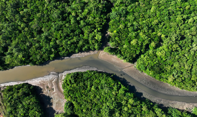 Deforestation hits record low in Brazilian Amazon in November