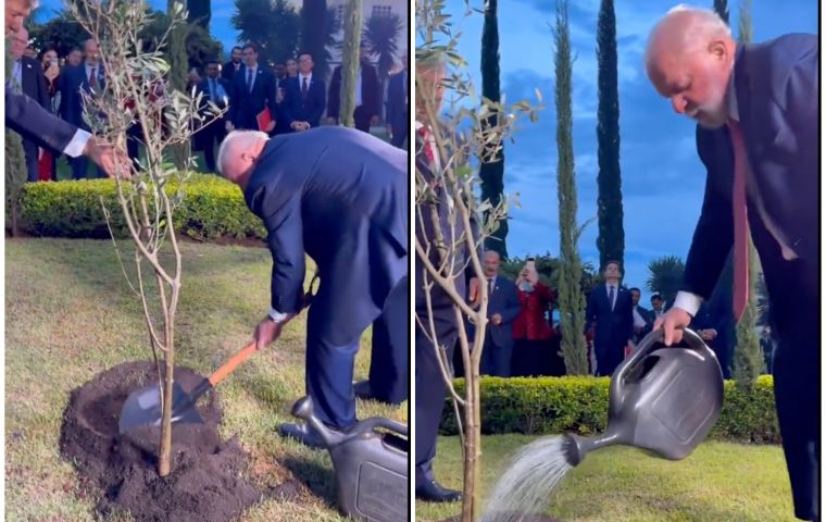 Brazil: Pres Lula plants tree of “hope” at Palestinian Embassy