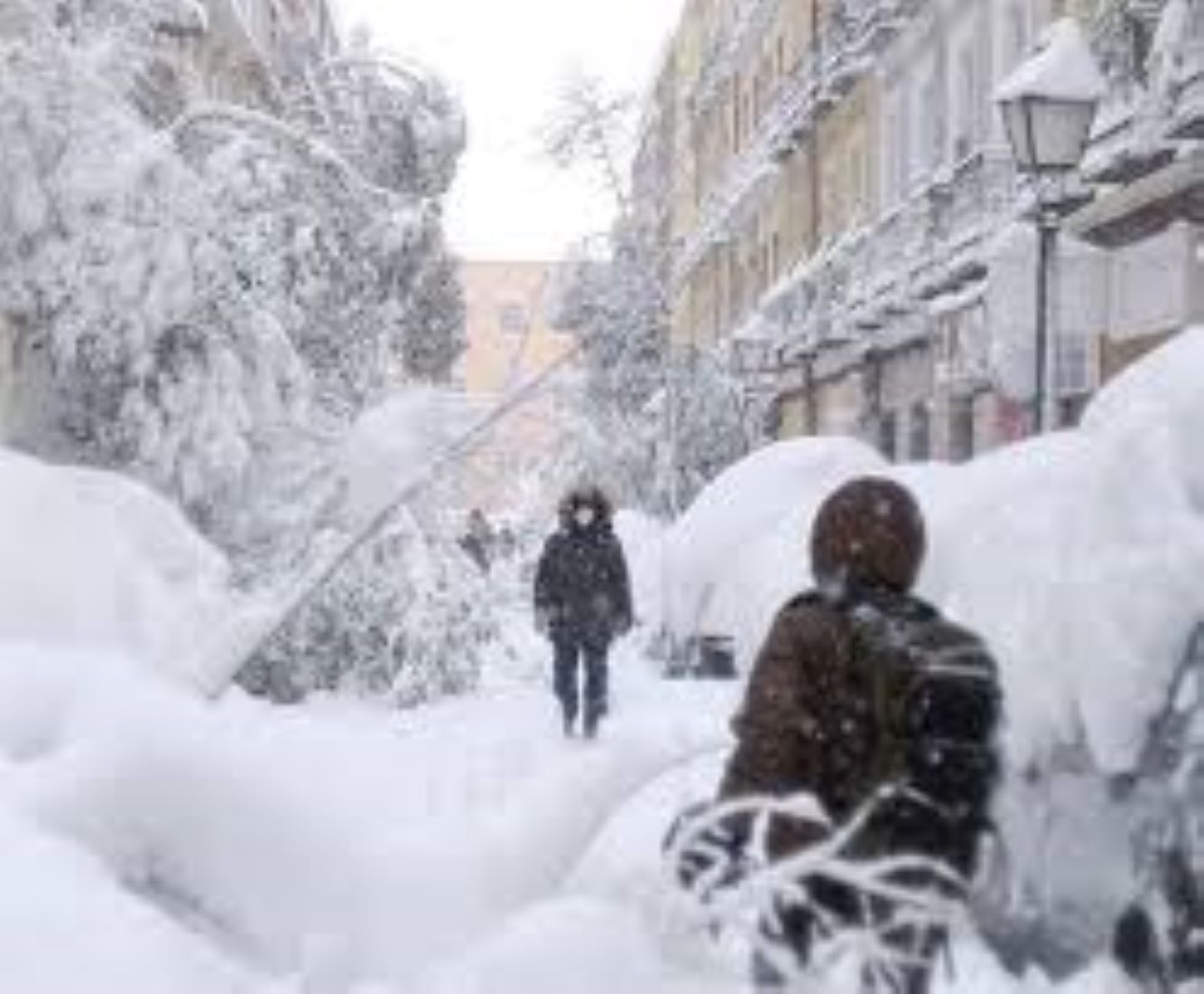 Mongolia’s Capital, Provinces Impose Traffic Restrictions Due To Blizzards