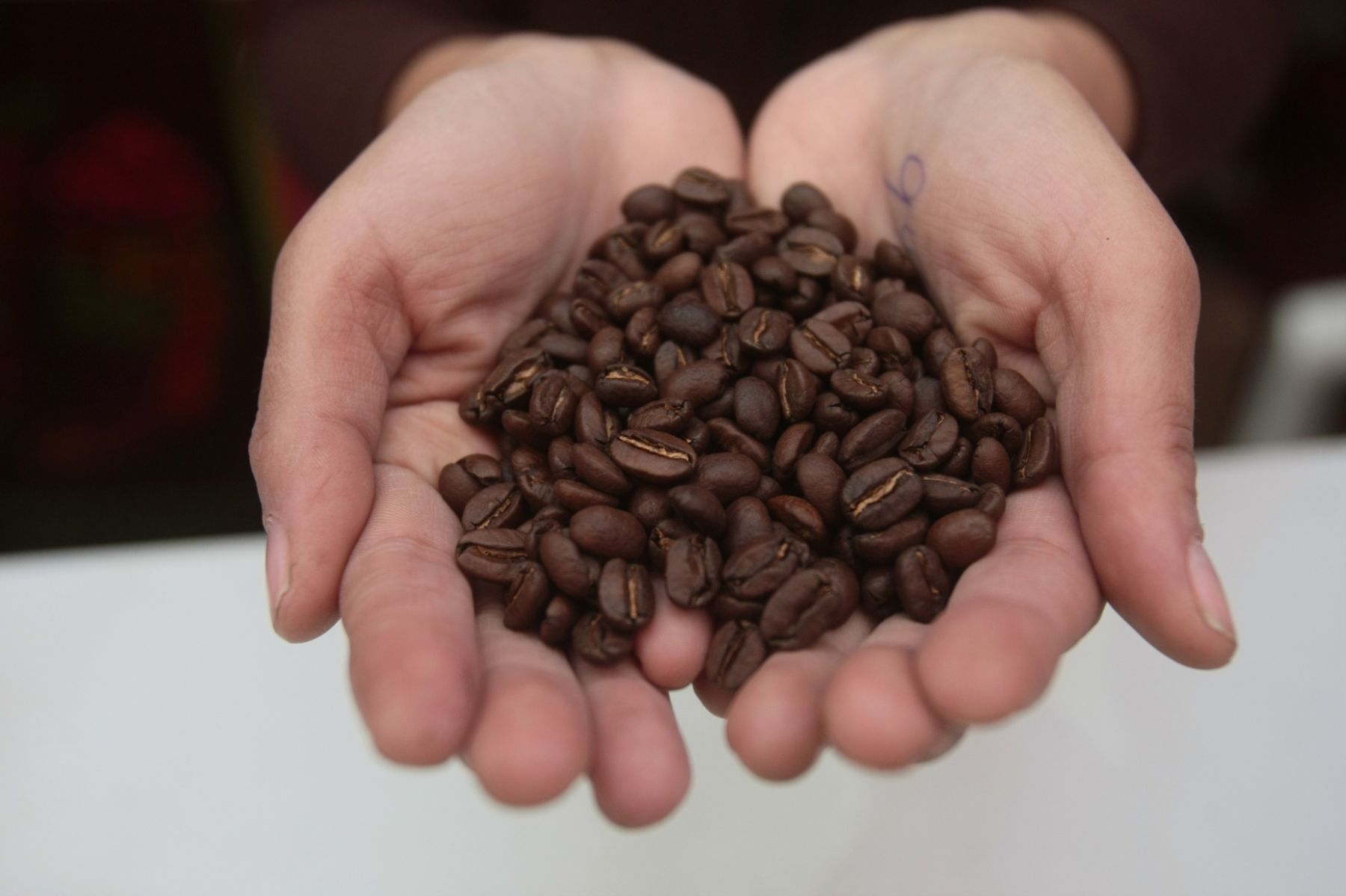 Peru’s coffee exports exceed US$132 million in first two months of 2024