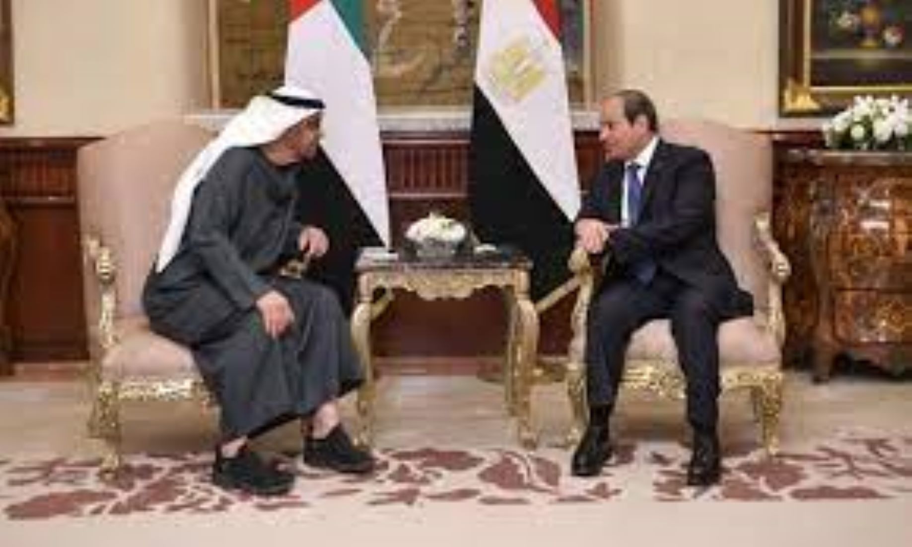 Egyptian, UAE Leaders Discussed Enhancing Cooperation