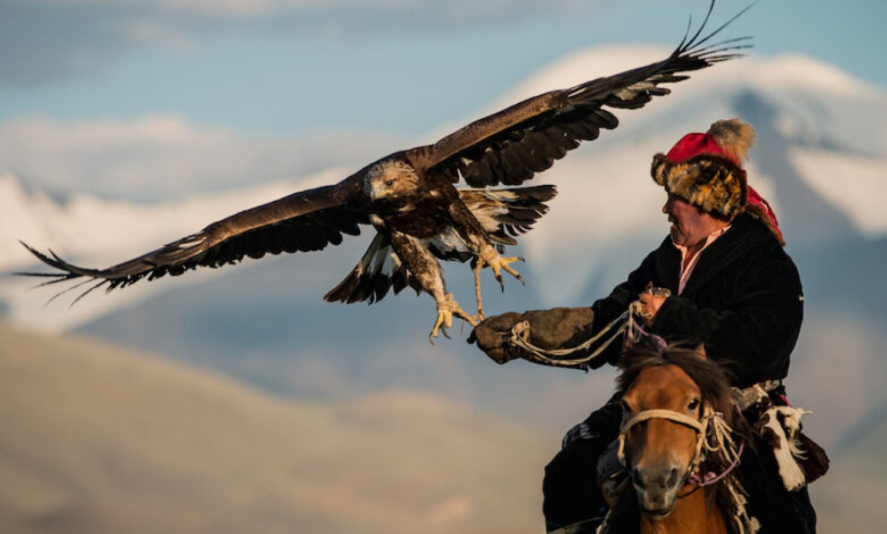 Golden Eagle Festival Kicked Off In Mongolia To Promote Tourism