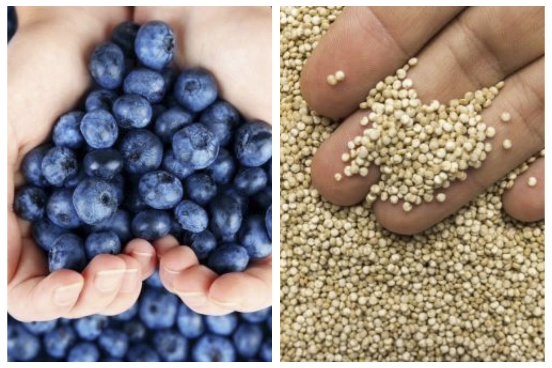 Peru, world’s leading exporter of blueberries and quinoa grains
