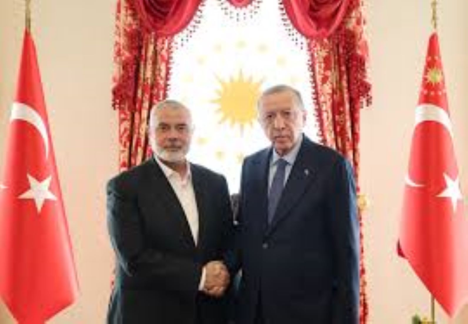 Turkish President Met Hamas Leader In Istanbul