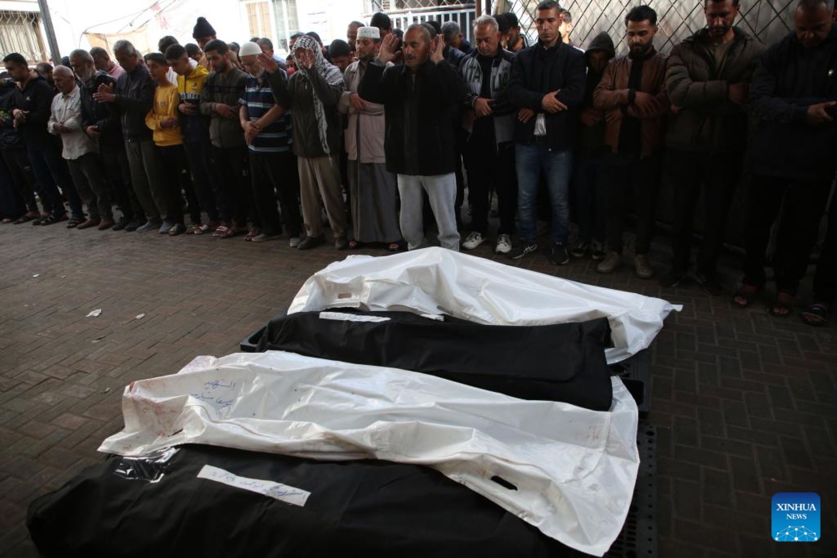 Palestinian Death Toll In Gaza Rises To 33,843: Ministry