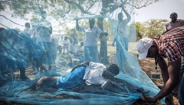New nets ‘prevent’ 13 mn malaria cases in Africa: project