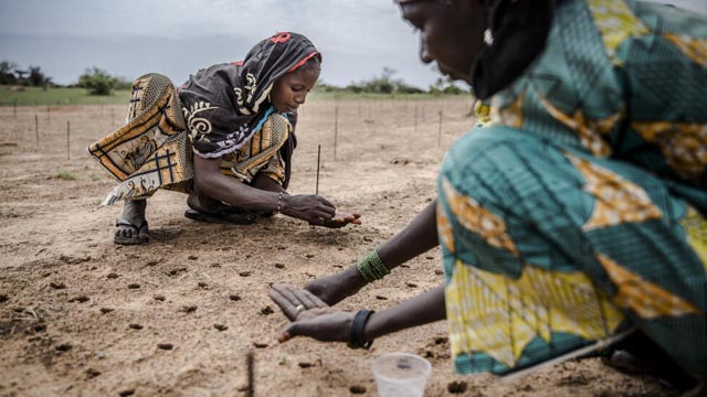 ‘Human-induced’ climate change behind deadly Sahel heatwave: study