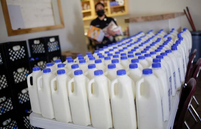 Pasteurized milk ‘safe’ from bird flu: US officials