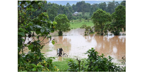 Uganda: Floods kill 8, displace hundreds