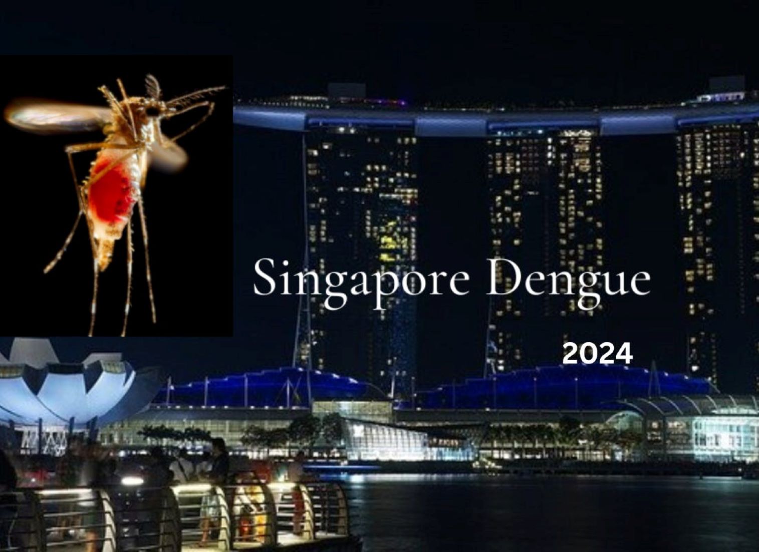 Singapore Reports Decline In Weekly Dengue Cases