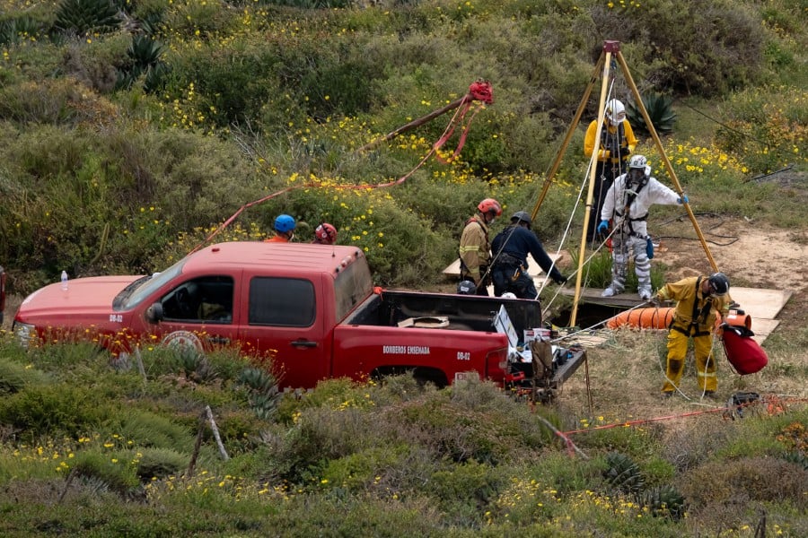 Update: Three bodies found after surfers go missing in Mexico – FBI