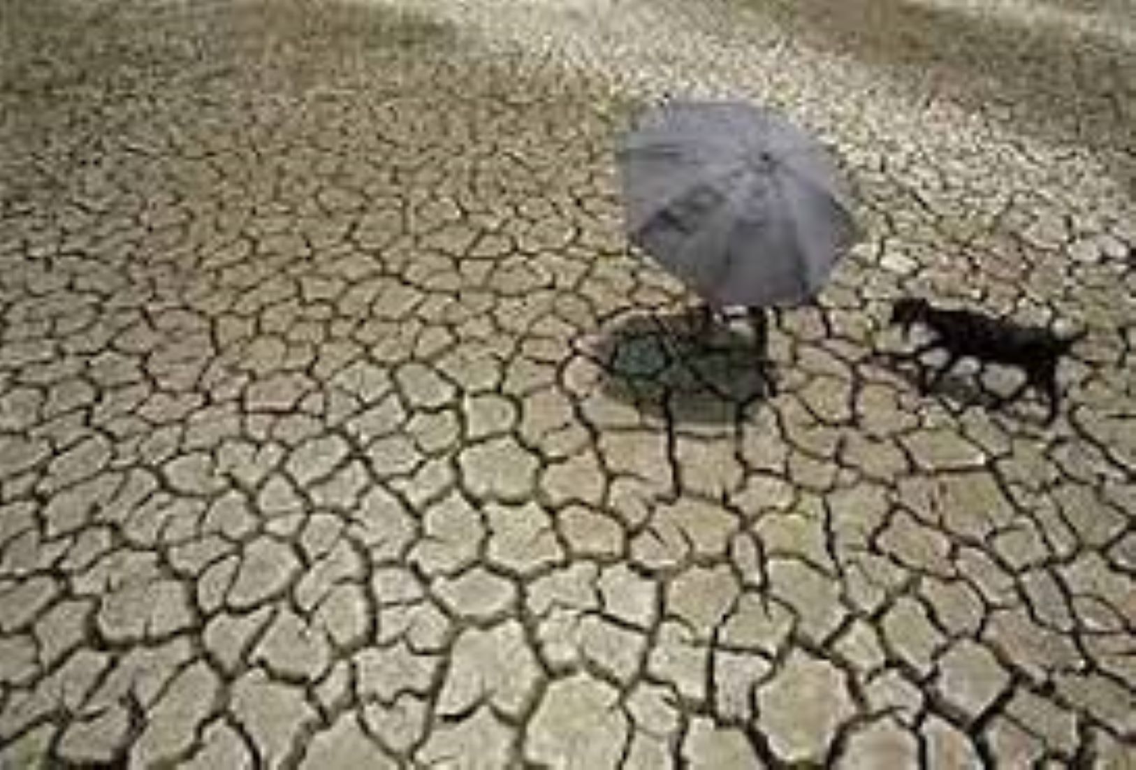 Heat Wave Killed Six In Rajasthan As Mercury Soared To 49 Degrees Celsius