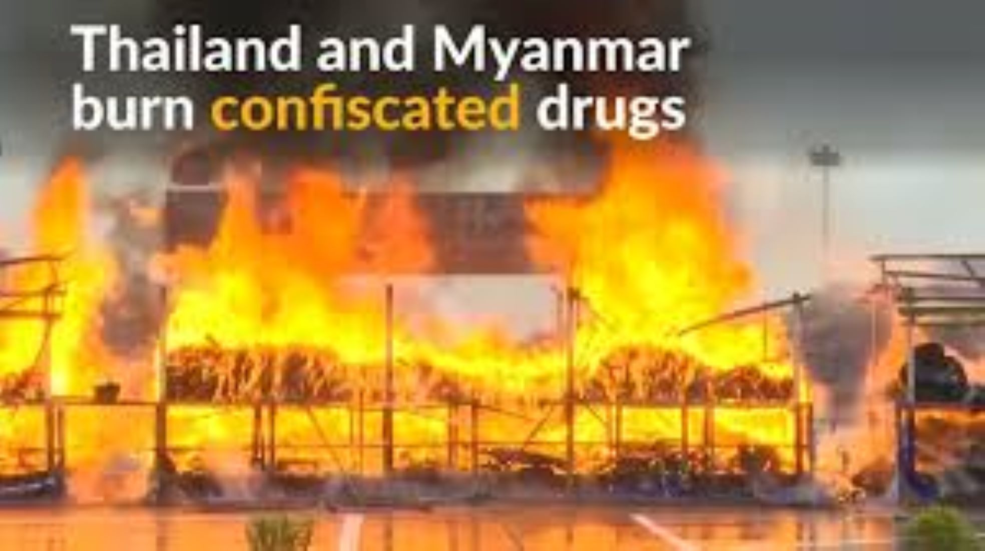 Thailand Destroyed Over 20 Tonnes Of Narcotics On Anti-Drug Day