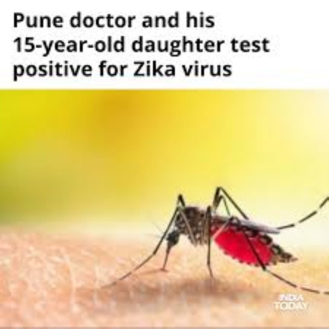 Two Test Positive For Zika Virus In India