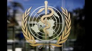 First human case of H5N2 bird flu died from multiple factors: WHO