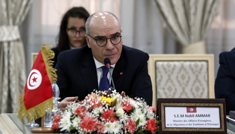 Tunisia loses over 1.2 bln USD annually due to illicit financial flows: FM